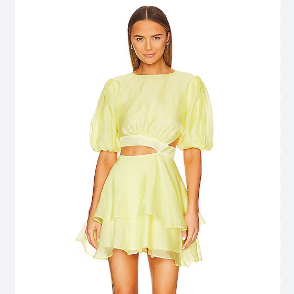 Enya Organza Mini Dress